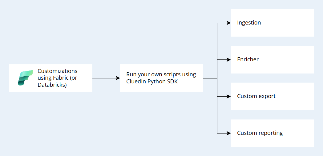 Customizations using Fabric or Databricks: run your own scripts with the CluedIn Python SDK for ingestion, enrichment, custom export, and custom reporting